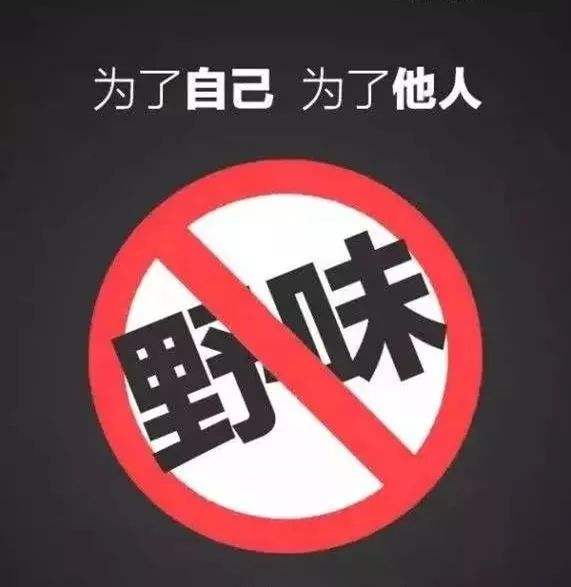 1583229195394847.jpg 11.jpg