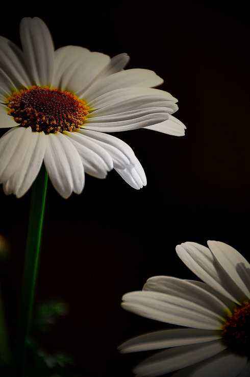 1582624011915046.jpg 11.jpg